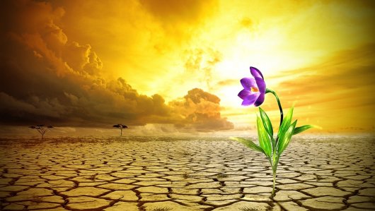 vida-no-deserto.jpg