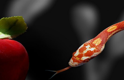 pecado-wallpaper-21098.jpg
